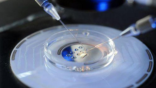   着床成功后最早出现的生理指标变化